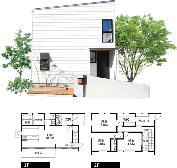 SQUARE/シカクの家