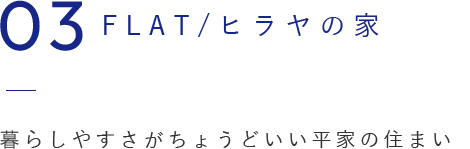 03 FLAT/ヒラヤの家