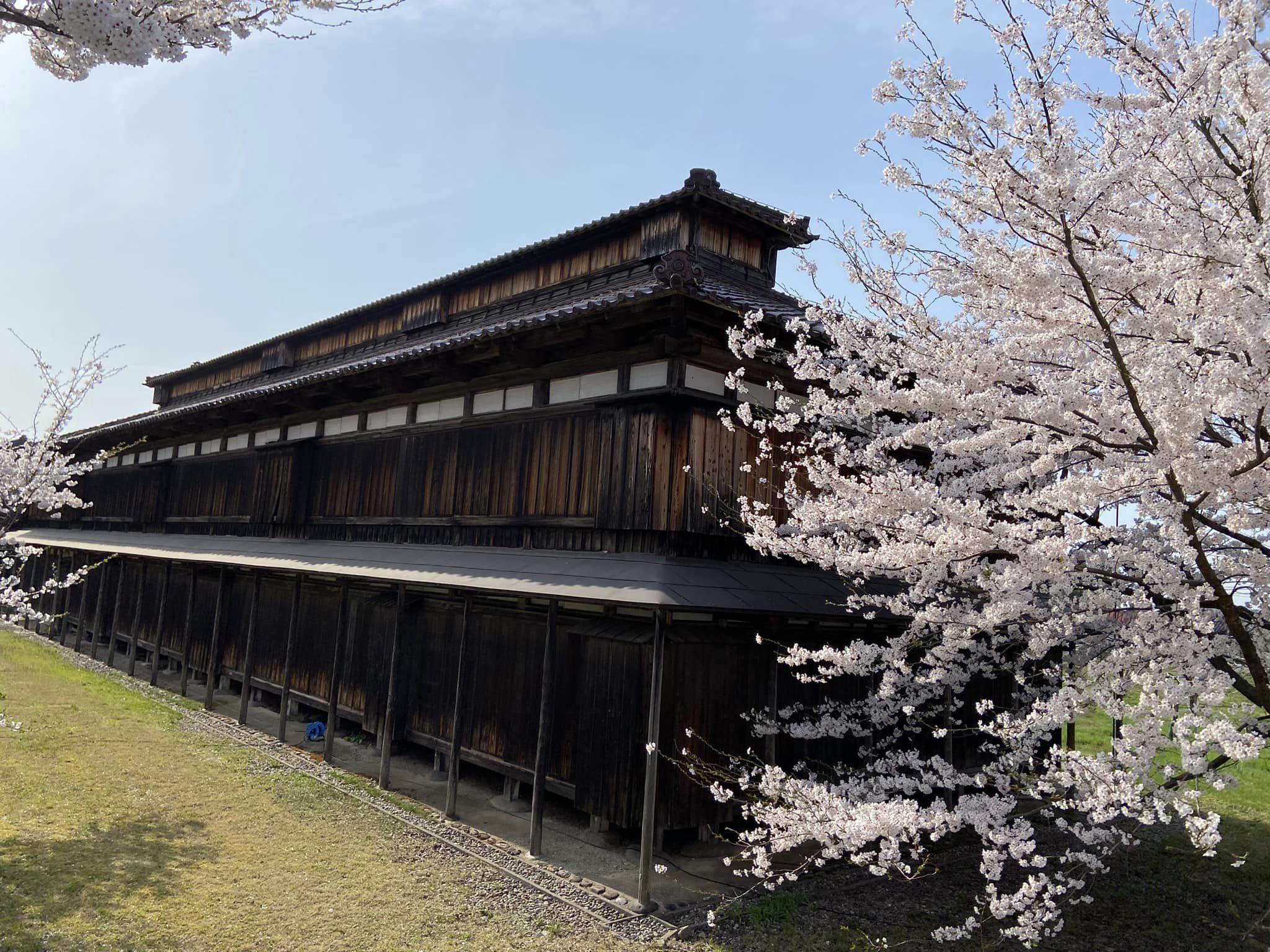 鶴岡よサバラ